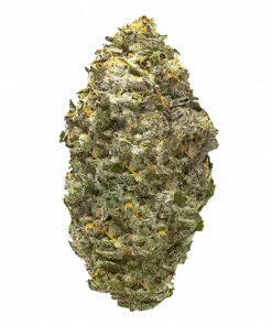 Spice Girl, sert yakıtımsı aromasıyla bilinen indica baskın bir türdür. Rahatlatıcı etkileri ve genetik yapısını keşfedin. Akşam kullanım için idealdir. Görüntüleyin.