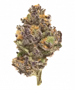 Splash Daddy, tatlı meyve aromaları ve yüksek THC içeriğiyle bilinen Indica baskın bir türdür. Yoğun rahatlama ve öfori için genetik yapısını keşfedin.