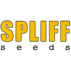 Spliff Seeds