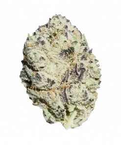 Sprinkles, greyfurt aromalı ve THC içeren dengeli bir hibrit türdür. Enerji ve odaklanma sağlayan bu türün genetik yapısını keşfedin.