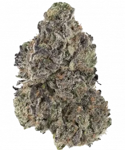 Starbud, benzin kokulu aroması ve rahatlatıcı etkisiyle bilinen Indica baskın bir türdür. Ağrı ve kaygı için ideal. Genetik yapısını keşfedin.