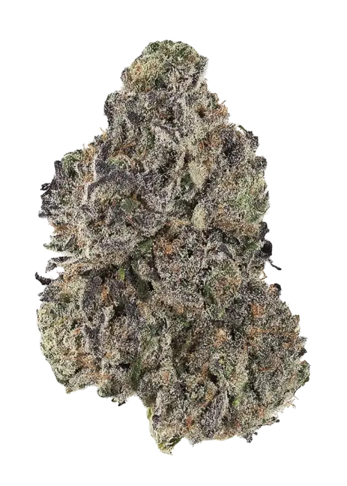 Starbud, benzin kokulu aroması ve rahatlatıcı etkisiyle bilinen Indica baskın bir türdür. Ağrı ve kaygı için ideal. Genetik yapısını keşfedin.