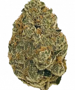 Starburst Kush, yakıtımsı ve limonlu aromasıyla bilinen dengeli bir hibrit türdür. Yüksek THC içeriğiyle dikkat çeken bu türü keşfedin ve genetik yapısını görüntüleyin.