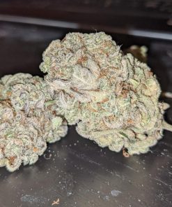 Stardawg Auto Fem Esrar Tohumu (Fast Buds)