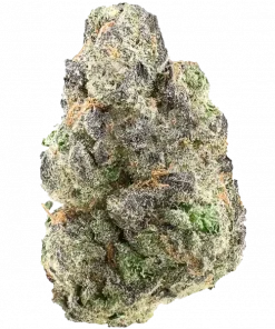 Stardawg Guava, guava aroması ve yüksek THC içeriğiyle öne çıkan Sativa baskın bir türdür. Canlandırıcı etkileriyle bilinir. Genetik yapısını keşfedin.