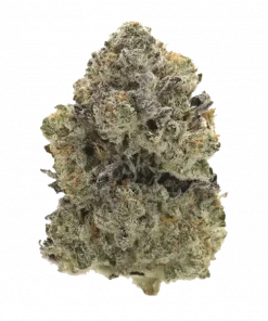 Stay Puft, üzüm aromaları ve yüksek THC içeriğiyle bilinen Indica baskın bir türdür. Öfori ve rahatlama sunar. Genetik yapısını keşfedin ve etkilerini görüntüleyin.