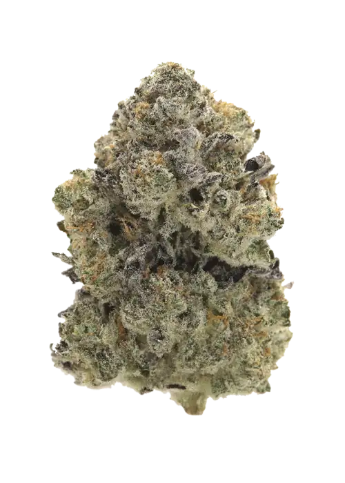 Stay Puft, üzüm aromaları ve yüksek THC içeriğiyle bilinen Indica baskın bir türdür. Öfori ve rahatlama sunar. Genetik yapısını keşfedin ve etkilerini görüntüleyin.