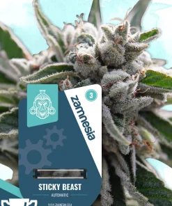 Sticky Beast Auto Fem Esrar Tohumu (Zamnesia Seeds)