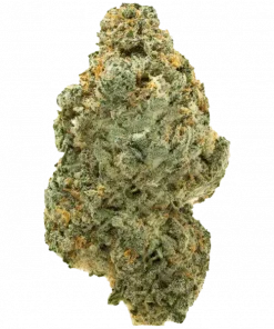 Sticky Boof, sert yakıtımsı ve böğürtlen aromalarıyla öne çıkan Indica baskın bir türdür. Yüksek THC içeriğiyle derin rahatlama sağlar. Özelliklerini keşfedin.