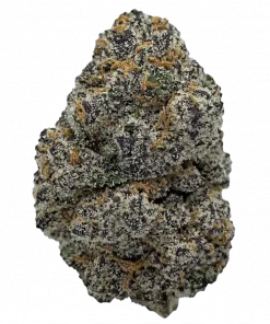 Sticky Glue, yakıtımsı aroması ve rahatlatıcı etkisiyle bilinen indica dominant bir türdür. Yüksek verimli genetik yapısını keşfedin ve deneyimini görüntüleyin.