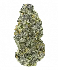 Sticky Maple, çam aroması ve dengeli etkisiyle öne çıkan Indica dominant bir türdür. Yaratıcılığı tetikleyen genetik yapısını keşfedin ve tüm özelliklerini görüntüleyin.