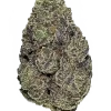 Sticky Queen, çam ve narenciye aromalarıyla öne çıkan Indica baskın bir türdür. THC ile güçlü etkilerini keşfedin ve genetik yapısını inceleyin.