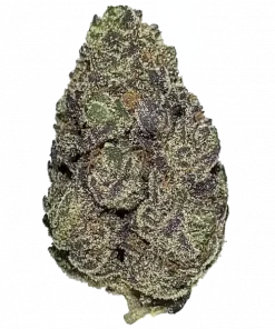 Sticky Queen, çam ve narenciye aromalarıyla öne çıkan Indica baskın bir türdür. THC ile güçlü etkilerini keşfedin ve genetik yapısını inceleyin.