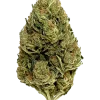 Sticky Queen Auto, yakıtımsı ve tatlı aromalarıyla öne çıkan Indica dominant bir türdür. Yüksek THC içeriğiyle dikkat çeken bu türün genetik yapısını keşfedin.