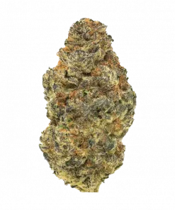 Stracciatella Gelato, vanilya ve krema aromalarıyla öne çıkan Indica baskın bir türdür. Yüksek THC içeriğiyle öforik etkiler sunar. Özelliklerini keşfedin.