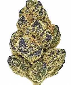 Strawberries and Cream, belirgin çilek aroması ve yüksek THC içeriğiyle öne çıkan Sativa baskın bir türdür. Enerjik etkilerini ve genetik yapısını keşfedin.