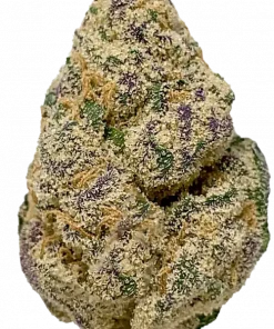 Strawberry Amnesia, taze çilek aroması ve yüksek THC içeriğiyle bilinen Sativa baskın bir türdür. Enerjik etkileriyle öne çıkar. Genetik yapısını keşfedin.