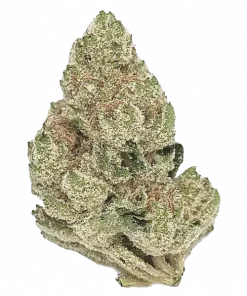 Strawberry Banana, tatlı çilek ve muz aromalarıyla öne çıkan Indica baskın bir türdür. Depresyon ve stresi azaltıcı etkilerini keşfedin. Hemen görüntüleyin.