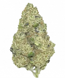 Strawberry Banana Auto, tatlı çilek aroması ve THC ile öne çıkan Indica baskın türdür. Zihinsel uyarılma ve yaratıcılık için genetik özelliklerini keşfedin.
