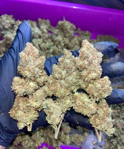 Strawberry Banana Auto Fem Esrar Tohumu (Fast Buds)