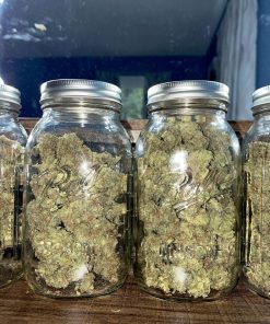 Strawberry Banana Auto Fem Esrar Tohumu (Fast Buds)