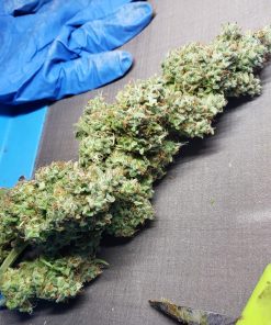 Strawberry Banana Auto Fem Esrar Tohumu (Fast Buds)