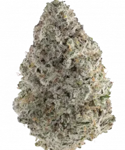 Strawberry Banana Sherbet, çilek ve muz aromaları ile sert yakıtımsı notalarıyla öne çıkan bir türdür. Yüksek THC içeriğiyle dikkat çeken bu türü keşfedin.