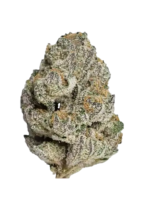 Strawberry Cheesecake, çilek ve peynir aromalarıyla öne çıkan Indica dominant bir türdür. Yüksek THC içeriğiyle dikkat çeker. Genetik yapısını keşfedin.