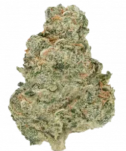 Strawberry Clem, tatlı çilek ve muz aromalarıyla öne çıkan dengeli bir türdür. Yaratıcılığı artıran etkileriyle bilinen bu türü keşfedin.