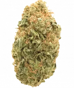 Strawberry Daiquiri, çilek ve turunçgil aromalarıyla öne çıkan Sativa baskın bir türdür. Enerji verici etkileriyle bilinir. Genetik yapısını keşfedin.