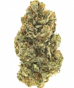 Strawberry Daze, tatlı meyve aromaları ve enerji verici etkisiyle öne çıkan sativa baskın bir türdür. Mutluluk ve odaklanma için ideal. Özelliklerini keşfedin.