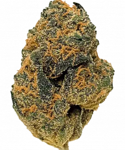 Strawberry Fields, tatlı çilek aroması ve rahatlatıcı etkisiyle bilinen Indica baskın bir türdür. Orta seviye verimiyle öne çıkar. Özelliklerini keşfedin.