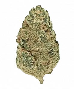 Strawberry Gelato, tatlı çilek aroması ve rahatlatıcı etkisiyle bilinen Indica dominant bir türdür. Yüksek THC içeriğiyle öne çıkar. Özelliklerini keşfedin.