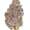 Strawberry Gorilla Auto, çilek aroması ve yüksek THC içeriğiyle öne çıkan Indica baskın bir türdür. Genetik yapısını ve potansiyel faydalarını keşfedin.