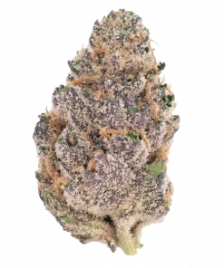 Strawberry Gorilla Auto, çilek aroması ve yüksek THC içeriğiyle öne çıkan Indica baskın bir türdür. Genetik yapısını ve potansiyel faydalarını keşfedin.