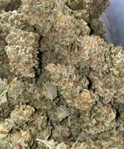 Strawberry Gorilla Auto Fem Esrar Tohumu (Fast Buds)