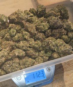 Strawberry Gorilla Auto Fem Esrar Tohumu (Fast Buds)