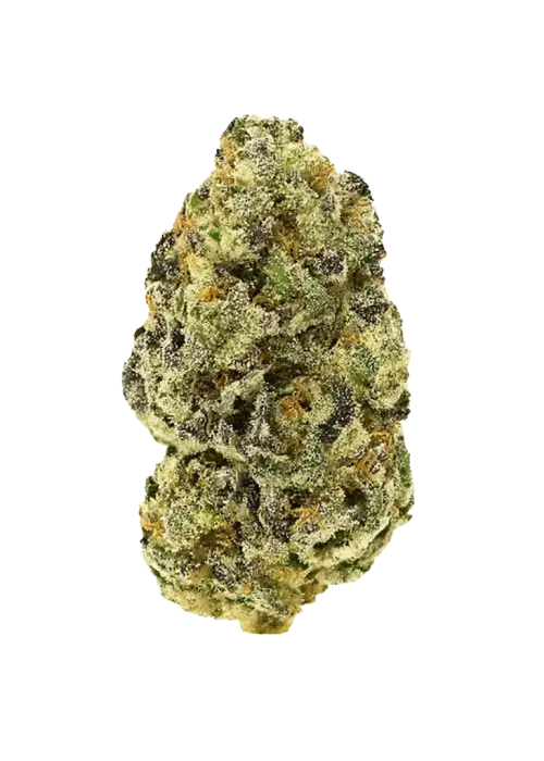 Strawberry Jelly, tatlı çilek aroması ve 'a varan THC içeriğiyle öne çıkan dengeli bir hibrittir. Enerjik etkilerini keşfetmek için hemen görüntüleyin.