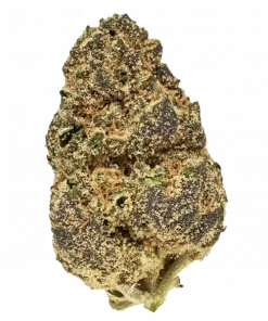 Strawberry Mimosa, çilek aroması ve enerji verici etkileriyle bilinen Sativa baskın bir türdür. Clementine ve Purple Punch genetiğini keşfedin ve özelliklerini görüntüleyin.