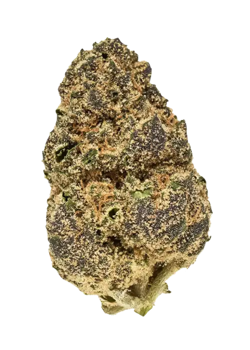 Strawberry Mimosa, çilek aroması ve enerji verici etkileriyle bilinen Sativa baskın bir türdür. Clementine ve Purple Punch genetiğini keşfedin ve özelliklerini görüntüleyin.