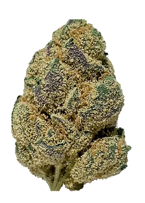 Strawberry Mochi, çilek ve vanilya aromalarıyla öne çıkan dengeli bir hibrit türüdür. Yüksek THC içeriğiyle yaratıcılığı artırır ve rahatlama sağlar. Özelliklerini keşfedin.