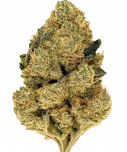 Strawberry OG, tatlı çilek aroması ve rahatlatıcı etkileriyle bilinen indica baskın bir türdür. Bu eşsiz türün genetik yapısını ve faydalarını keşfedin.