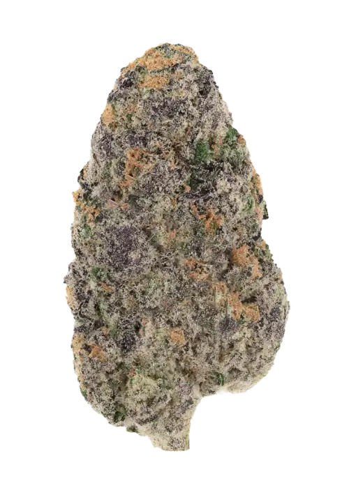 Strawberry Peelz, kimyasal limon aroması ve meyvemsi tatlılığın harmanlandığı, yüksek THC'li bir hibrit türdür. Yaratıcılığı artıran bu türü keşfedin.