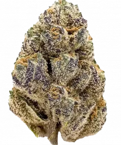 Strawberry Pie, sert aroması ve dengeli genetiğiyle öne çıkan bir hibrit türdür. Yüksek verimi ve hızlı çiçeklenme süresiyle dikkat çeker. Özelliklerini keşfedin.