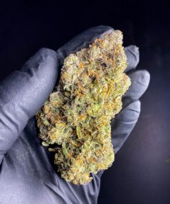 Strawberry Pie Auto Fem Esrar Tohumu (Fast Buds)