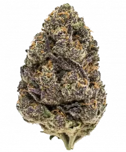 Strawberry Pop Rocks, sert çilek aroması ve yüksek THC içeriğiyle bilinen Indica baskın bir türdür. Derin rahatlama ve öfori için genetik yapısını keşfedin.