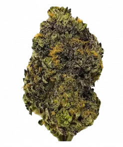 Strawberry Push Pop, çilek aroması ve dengeli etkisiyle öne çıkan bir hibrit türdür. Yaratıcılığı artıran ve rahatlama sağlayan bu türü keşfedin.