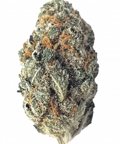 Strawberry Shortcake, tatlı çilek aroması ve yüksek THC içeriğiyle bilinen Sativa baskın bir türdür. Yaratıcılığı artıran bu özel türü keşfedin.