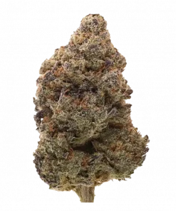 Strawberry Skrilla, orman meyveleri ve yakıtımsı notalarıyla öne çıkan, yüksek THC'li bir Indica hibritidir. Ağrı ve stresi hafifleten etkilerini keşfedin.