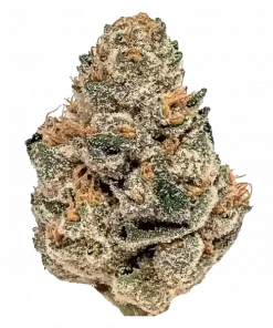 Strawberry Snacks, çilek aroması ve yüksek THC içeriğiyle öne çıkan Indica ağırlıklı bir türdür. Kolay yetiştirme ve bol verim için hemen keşfedin.